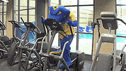 fitness workout GIF by St. Mary's University