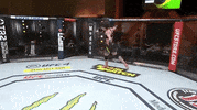 Sport Mma GIF by UFC