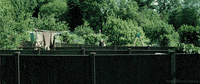 simon pegg film GIF by Head Like an Orange