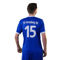 SV_Arnsberg_09 fussball jubel bier kreisliga Sticker