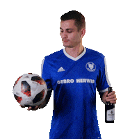 SV_Arnsberg_09 fussball jubel bier kreisliga Sticker