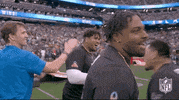 Nfl Pro Bowl Football GIF by NFL