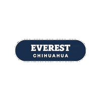 Aguascalientes Sticker by TDLA