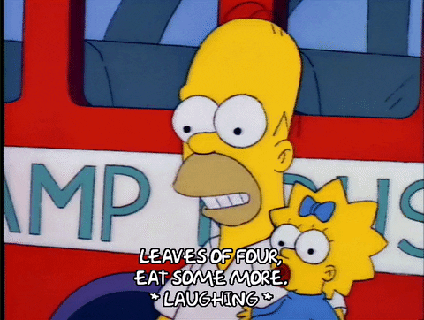 homer simpson GIF
