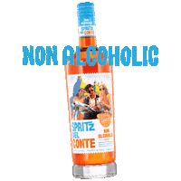 Cheers Bottle Sticker by Spritz Del Conte