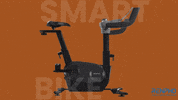 Fitness Health GIF by RENPHO