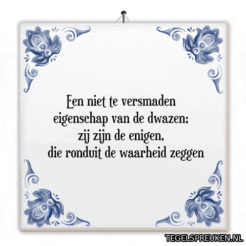 Humor Nl GIF by Tegelspreuken.nl