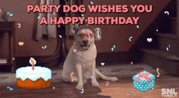 Digital compilation gif. Big white labrador wearing pink sunglasses and a beer can hat on its head sits on the floor looking happy, next to a digitized cake with a candle and a gift that shoots stars and happy faces into the air. Text, "Party dog wishes you a happy birthday."