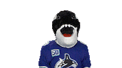 Mascot Yes Sticker by Vancouver Canucks