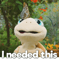 Sea Turtle Thank You GIF by Aquarium of the Pacific