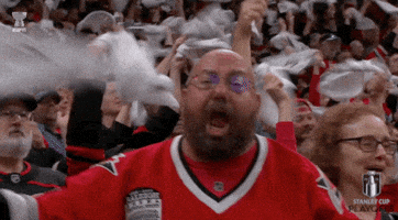Happy Carolina Hurricanes GIF by NHL