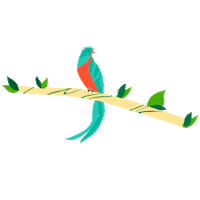 Coffee Dota Sticker by Coopedota