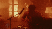 Stephen Colbert GIF by The Late Show With Stephen Colbert