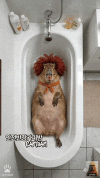 Clown Staring GIF