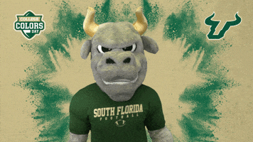 Excited College Sports GIF by College Colors Day