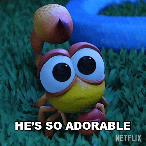 Hes-pretty-adorable GIFs - Get the best GIF on GIPHY