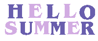Summer Hello Sticker