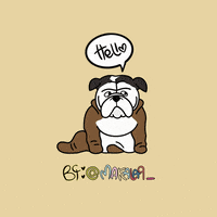English Bulldog Dog GIF by makala9_