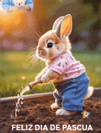 Flores Agua GIF by Murcianys LLC