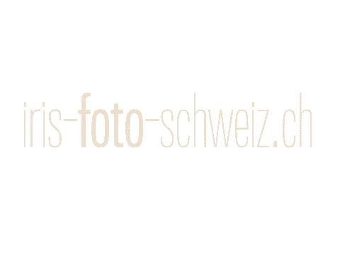 IrisFotoSchweiz giphyupload text photography spinning Sticker