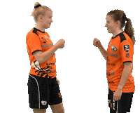 Sport Floorball Sticker by F-liiga