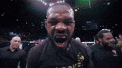 Jon Jones Sport GIF by UFC