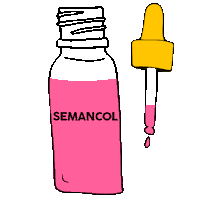 Frases Da Eve Semancol Sticker by Evelyn regly