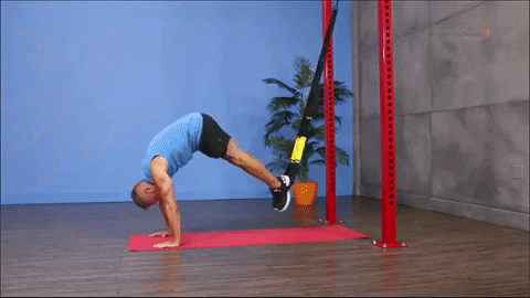 fitbodybuzz giphygifmaker GIF