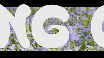Sub Pop Sun GIF by Sub Pop Records
