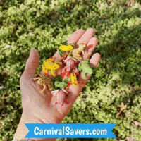Carnival Prizes GIF by Carnival Savers