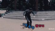 배급견 GIF