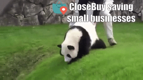 trylocaly giphyupload GIF