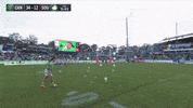 Josh Papalii Nrl GIF by Canberra Raiders