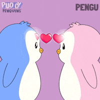 I Love You Heart GIF by Pudgy Penguins