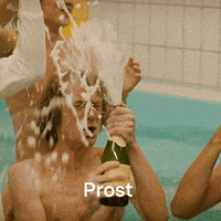 Party Cheers GIF by RTLde