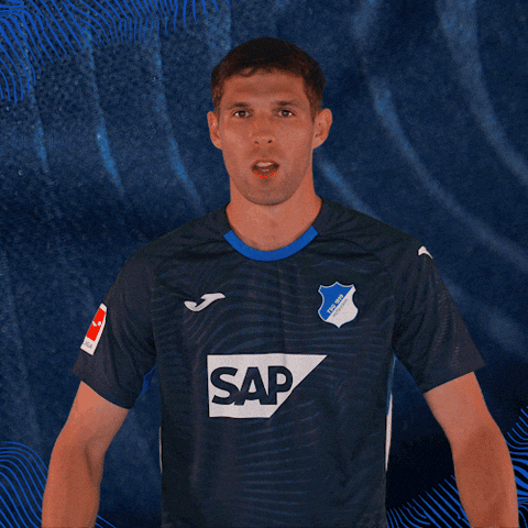 Sport Bundesliga GIF by TSG Hoffenheim