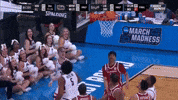 March Madness Uconn GIF by TheDreamTeam 