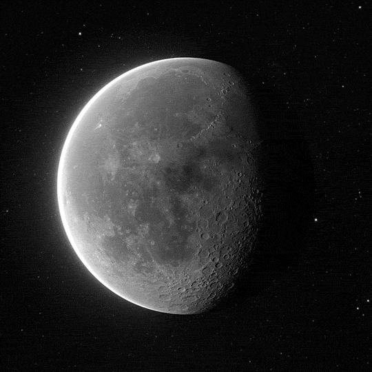 Good Night GIF by xponentialdesign