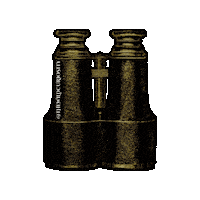 Vintage Looking Sticker by The Wild Curiosity