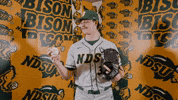 Baseball Bison GIF by NDSU Athletics