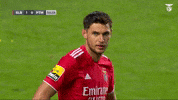 Sl Benfica Slbgif GIF by Sport Lisboa e Benfica
