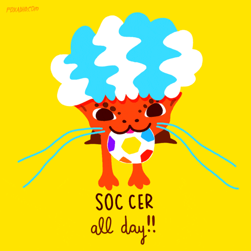 World Cup Cat GIF by gifnews