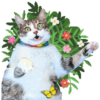 Happy To See You Sticker