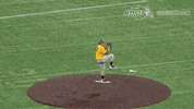 north dakota state baseball GIF by NDSU Athletics