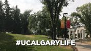ucalgary calgary yyc ucalgary university of calgary GIF