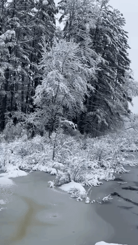 Fresh Snow Blankets New Hampshire