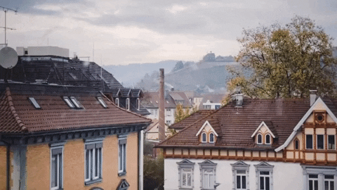 miftz  GIF