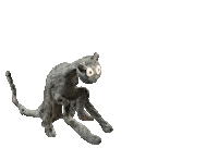 Tired Good Morning Sticker by The Swan Collective