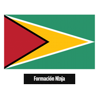 Flag Pixel Art Sticker by Formación Ninja