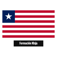 Flag Pixel Art Sticker by Formación Ninja